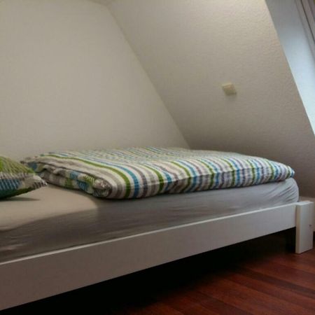 Ferienwohnung Am Schwanensee Plön Dış mekan fotoğraf