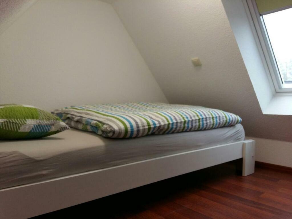 Ferienwohnung Am Schwanensee Plön Dış mekan fotoğraf